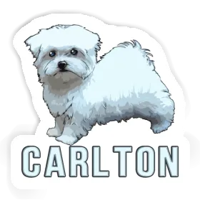 Carlton Sticker Doggie Image