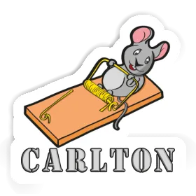 Mouse Sticker Carlton Image