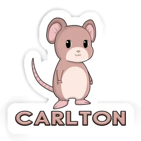 Sticker Mouse Carlton Image