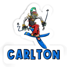 Freerider Sticker Carlton Image