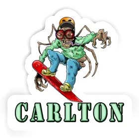 Sticker Carlton Snowboarder Image