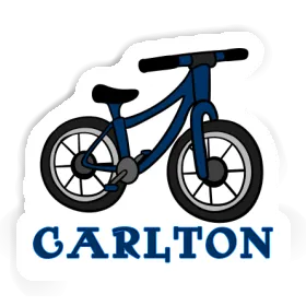 Mountain Bike Sticker Carlton Image