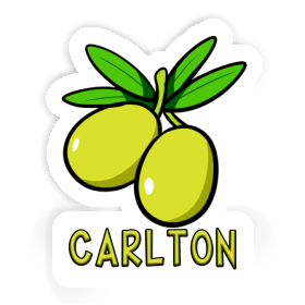 Carlton Sticker Olive Image