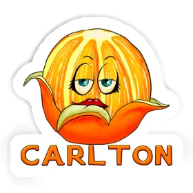 Orange Sticker Carlton Image