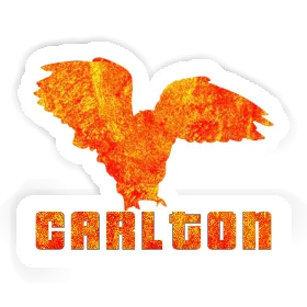 Carlton Sticker Owl Image