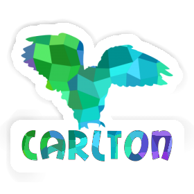 Sticker Owl Carlton Image