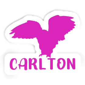 Sticker Carlton Owl Image