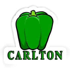 Sticker Carlton Paprika Image