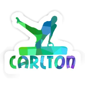 Sticker Turner Carlton Image