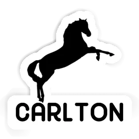 Horse Sticker Carlton Image