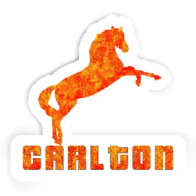 Sticker Horse Carlton Image