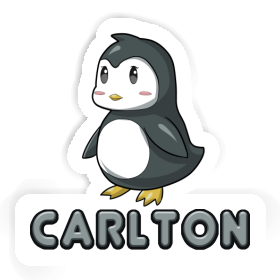 Sticker Penguin Carlton Image