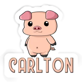 Carlton Sticker Pigg Image