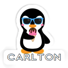 Sticker Penguin Carlton Image