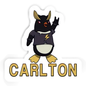 Rocking Penguin Sticker Carlton Image