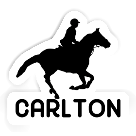 Sticker Horse Rider Carlton Image