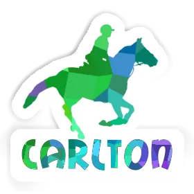 Sticker Horse Rider Carlton Image