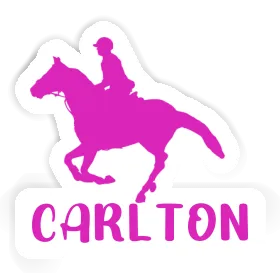 Sticker Horse Rider Carlton Image