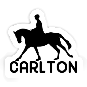 Horse Rider Sticker Carlton Image