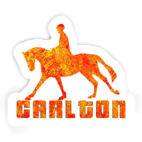 Horse Rider Sticker Carlton Image