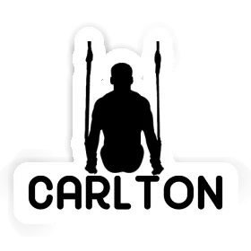 Carlton Sticker Ringturner Image