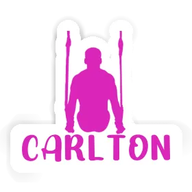 Sticker Ringturnerin Carlton Image