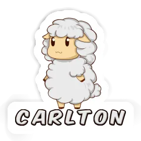 Carlton Sticker Sheep Image