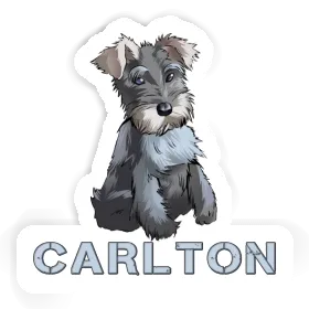 Carlton Autocollant Schnauzer Image