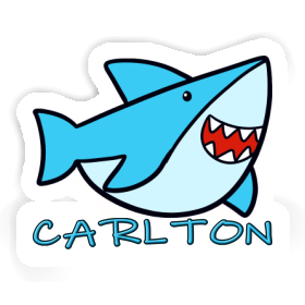 Carlton Sticker Shark Image