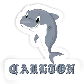 Carlton Sticker Shark Image