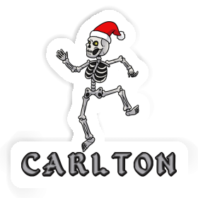 Skull Sticker Carlton Image