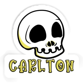 Sticker Skull Carlton Image