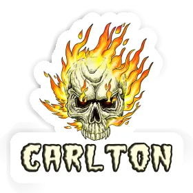 Sticker Carlton Skull Image