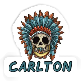 Sticker Baby-Skull Carlton Image