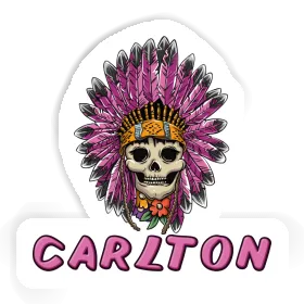 Ladys Skull Sticker Carlton Image