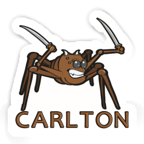 Sticker Fighting Spider Carlton Image