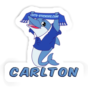 Sticker Carlton Dolphin Image