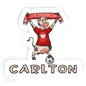 Cow Sticker Carlton Image