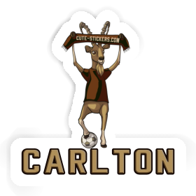 Sticker Carlton Capricorn Image