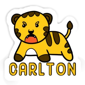 Sticker Baby Tiger Carlton Image