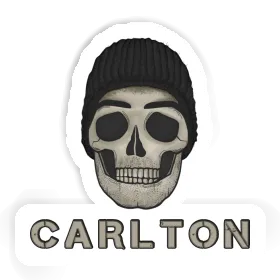 Skull Sticker Carlton Image