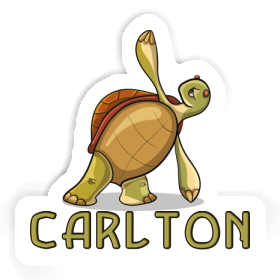 Sticker Turtle Carlton Image