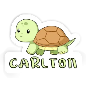 Sticker Carlton Turtle Image