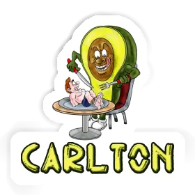 Carlton Sticker Avocado Image