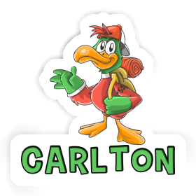 Sticker Wanderer Carlton Image