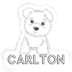 Westie Autocollant Carlton Image