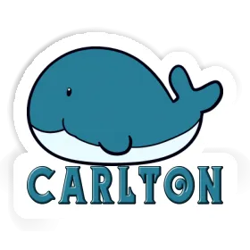 Sticker Whale Carlton Image