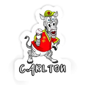 Zebra Sticker Carlton Image