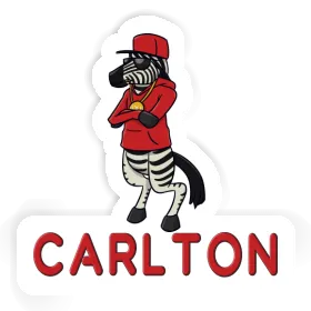 Sticker Zebra Carlton Image