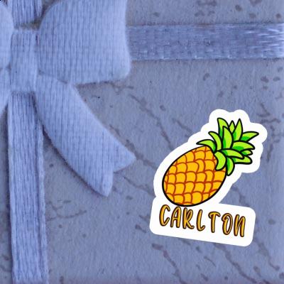 Carlton Sticker Pineapple Gift package Image